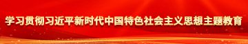 操骚逼亚洲学习贯彻习近平新时代中国特色社会主义思想主题教育